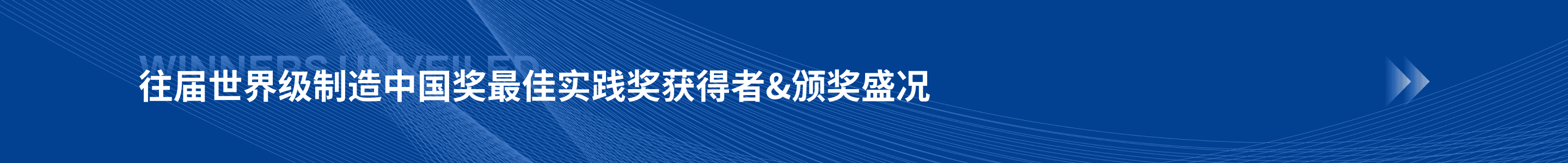 2025年卓越智维奖公司列表
