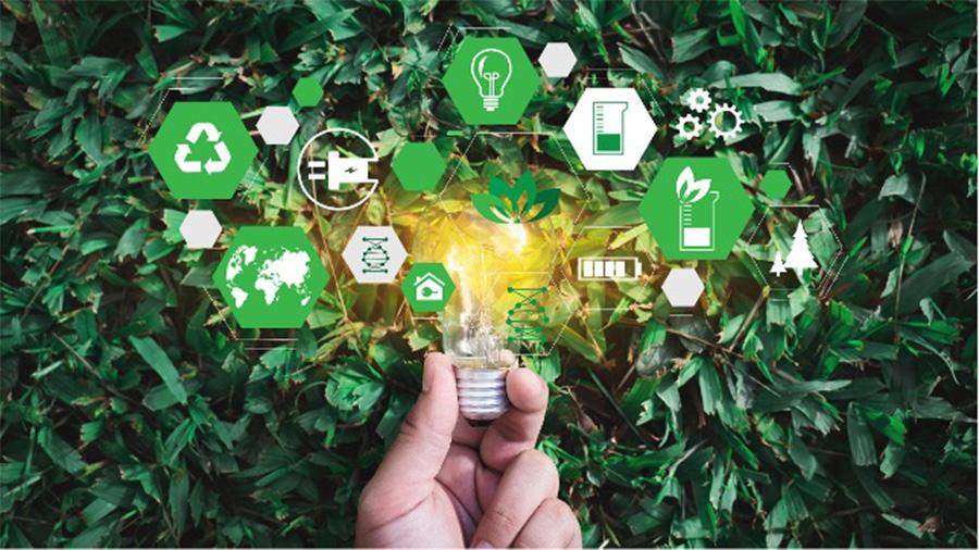 Towards a more sustainable supply chain